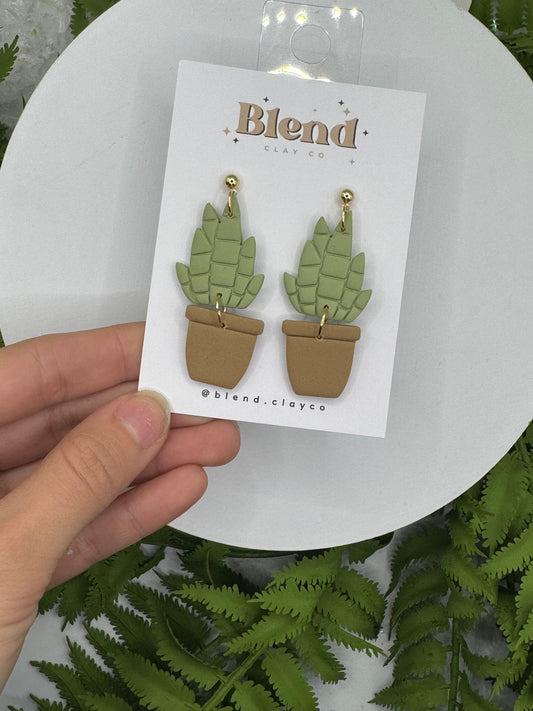 Snake Plant Dangle